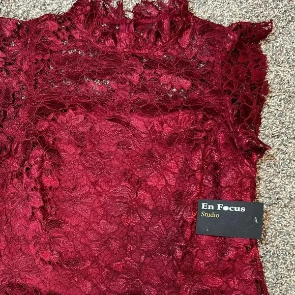 ENFOCUS STUDIO BURGUNDY RED LACE SHEATH MIDI DRESS  CUFFSLEEVE  SIZE8 MEDIUM NWT - Picture 14 of 14